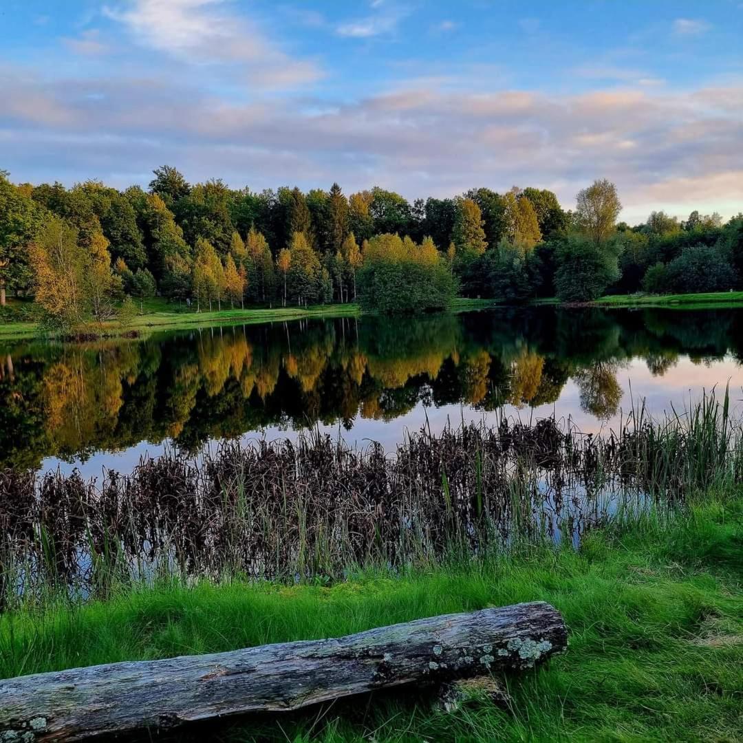 Tallhoejden Hotel & Cottage Lodge Simlångsdalen Екстериор снимка